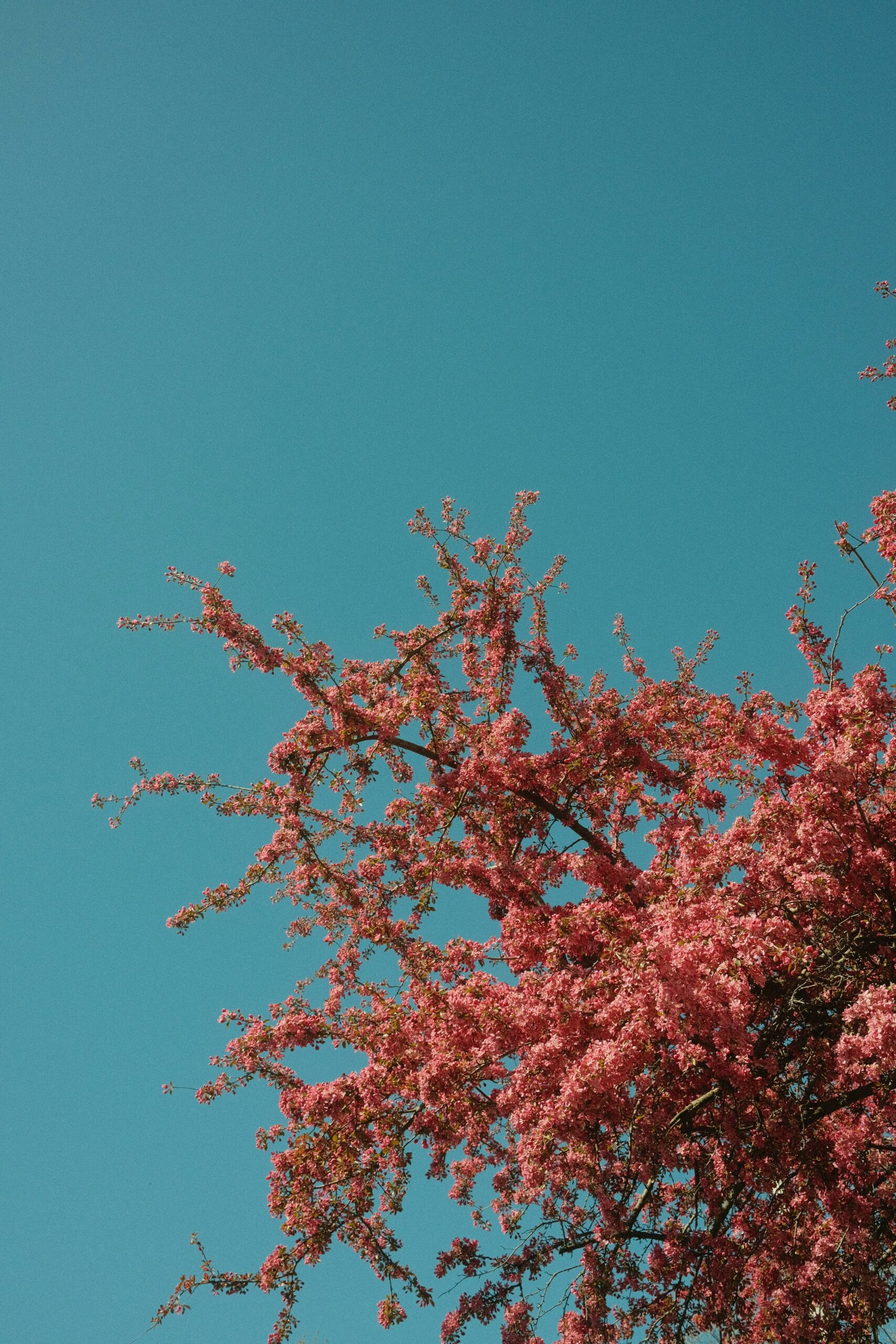 Posts